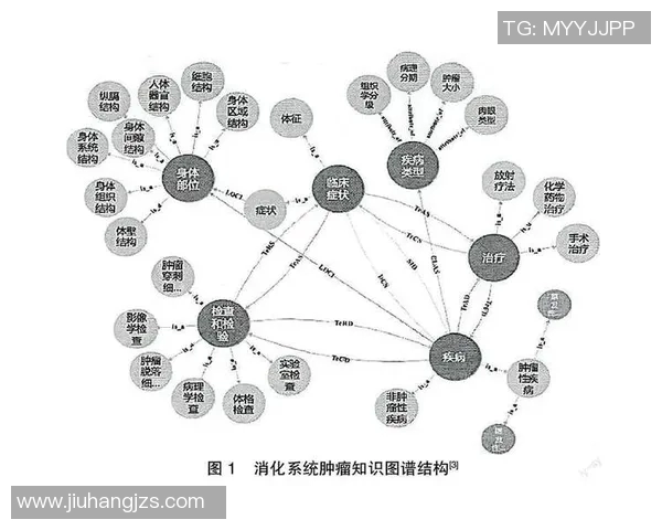 南京排球队技术分析与发展现状的深度探讨与展望